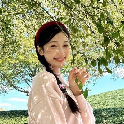 哈比王传奇